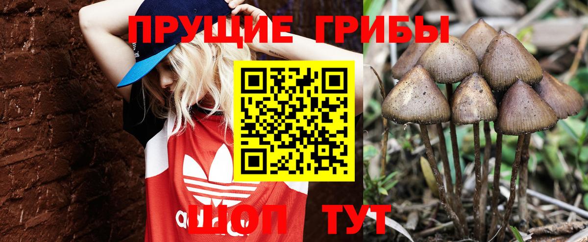 Благодарный  Псилоцибиновые грибы GOLDEN TEACHER  Вход с VPN 